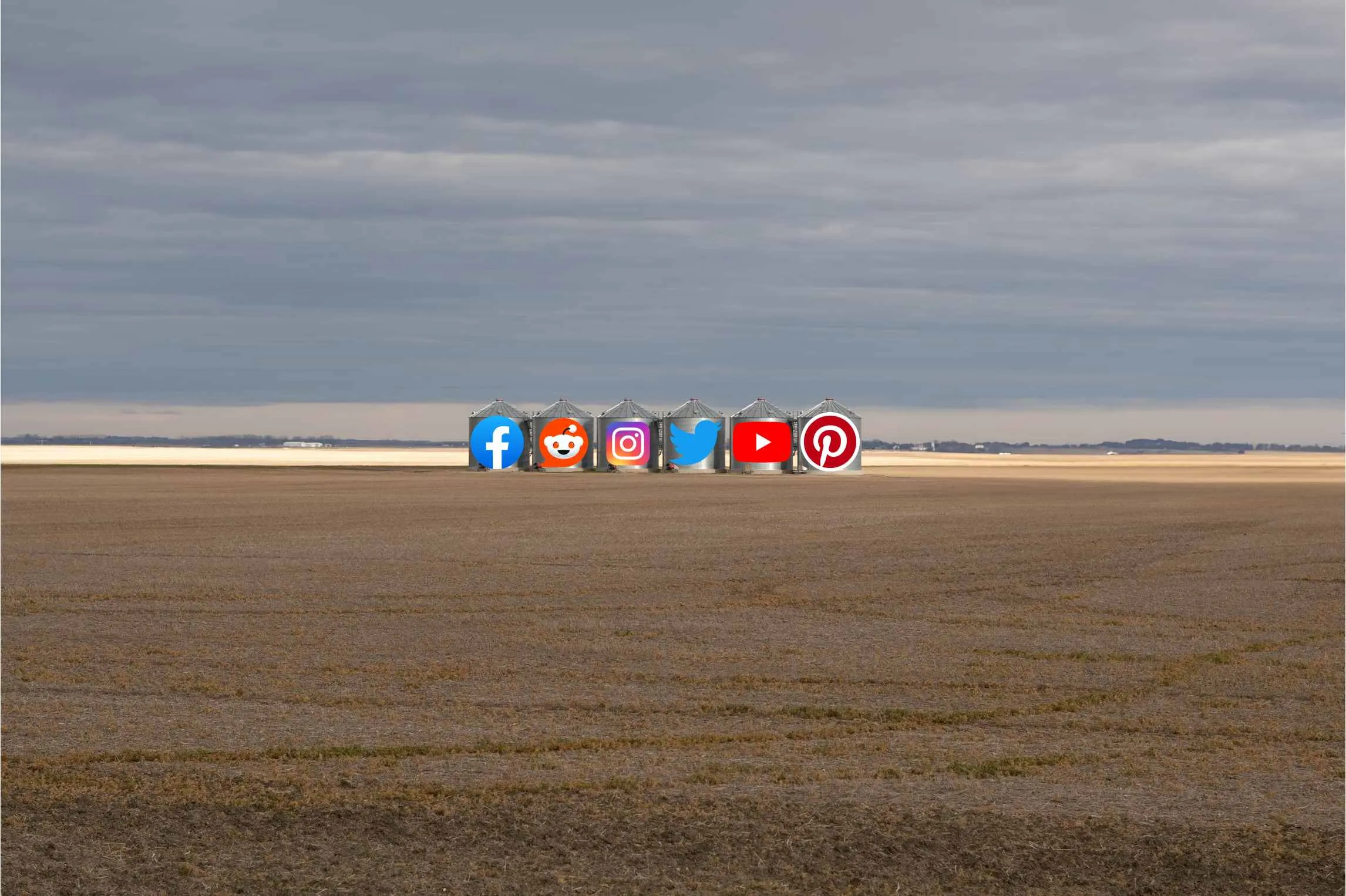 Web metaphor